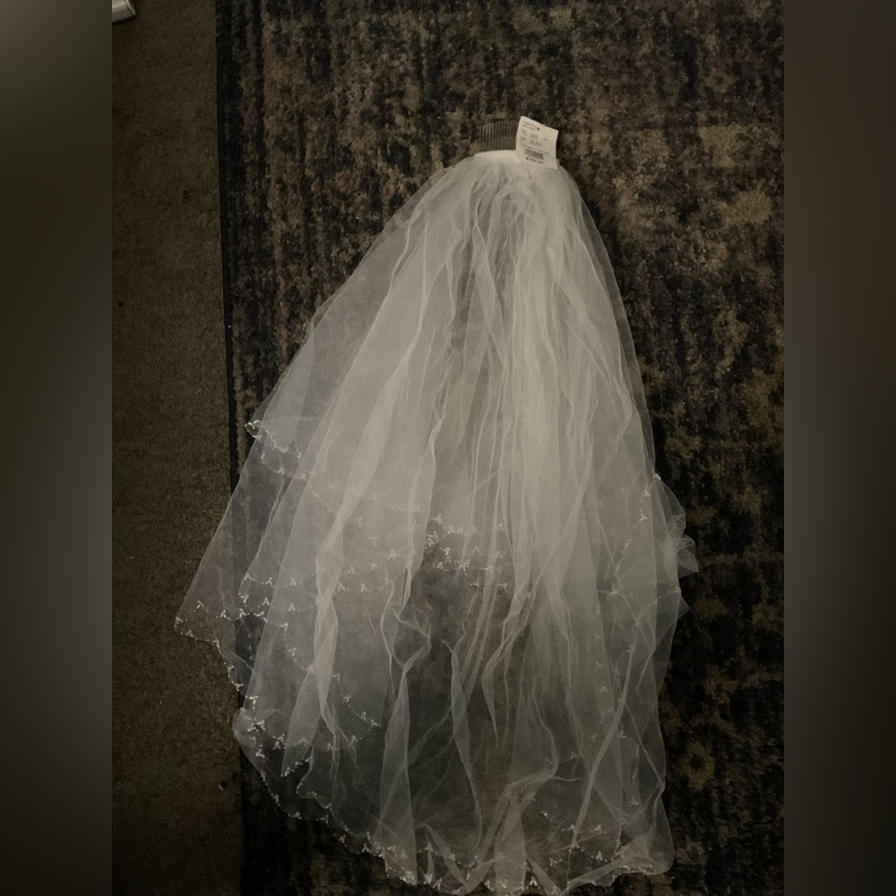 David’s Bridal Wedding Veil